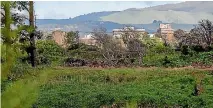  ?? PHOTO: MURRAY WILSON/STUFF ?? Massey University looks closer to Dittmer Drive already, ahead of constructi­on of a cycle and pedestrian bridge.