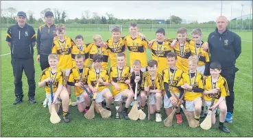  ?? ?? Lismore U12 hurling team.