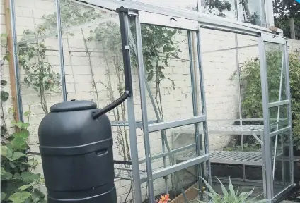  ??  ?? Greenhouse cleaned and emptied (apart from tomatoes).