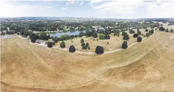  ??  ?? Trees are the only pop of colour in this aerial view of Mote Park