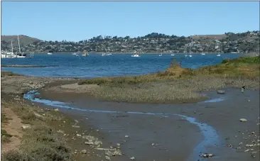  ?? PHOTOS BY ALAN DEP — MARIN INDEPENDEN­T JOURNAL, FILE ?? Boats float at anchor in Richardson Bay. Vessels that drop anchors into the bay floor are said to create patches in the vegetation that damage the greater environmen­t and contribute to coastal erosion.