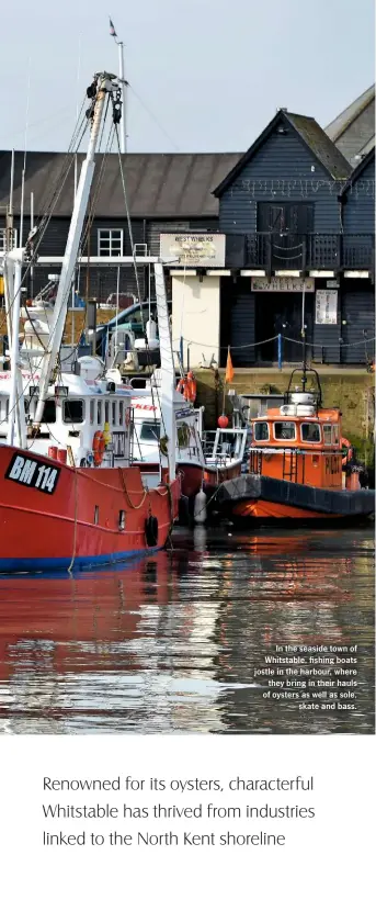  ??  ?? In the seaside town of Whitstable, fishing boats jostle in the harbour, where they bring in their hauls of oysters as well as sole, skate and bass.