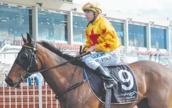  ?? LOVELY HORSE: Chocolate Holic, pictured with jockey William Pike. ??