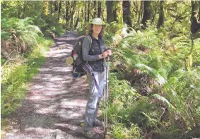  ??  ?? MaryAnn Castoria Gerst in the New Zealand rainforest.