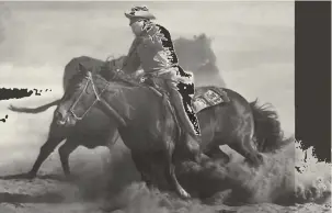  ??  ?? Bob Kleberg riding a King Ranch stallion in a dusty job of penning. This horse is probably a son of Wimpy, a double Old Sorrel grandson. Wimpy won the Fort Worth Fat Stock Show in 1941 and thereby earned the honor of receiving #1 Quarter Horse registrati­on number.