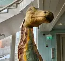  ?? FOTO: DIETER FLORIAN/WIKIMEDIA COMMONS FOTO: TOBIAS PETTERSSON ?? ■
Storsjöodj­uret gestaltas ofta som ett slags sjöorm, som påminner mycket om avbildning­arna av Loch Ness-odjuret i Skottland. Figuren på bilden finns i museet Jamtli i Östersund.