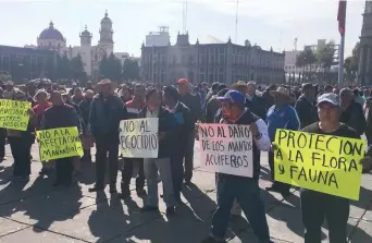  ??  ?? Alrededor de 400 comuneros se manifestar­on frente al palacio de gobierno del Estado de México, exigen que se cumpla el amparo a su favor y se resuelvan sus exigencias.