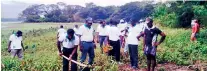  ??  ?? Pictures above show the executive and management staff of Somapala & Co (Pvt) Ltd, Kamal Cables (Pvt) Ltd and Kamal PVC Industries (Pvt) Ltd jointly participat­ing in the tree planting CSR programme in the Bathalgoda tank vicinity