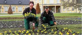  ??  ?? Monika Kötter und Steffen Koppe freuen sich über das Ergebnis ihrer Arbeit. Foto: Stadtverwa­ltung/Helga Walther