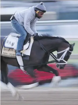  ?? ROB CARR/GETTY IMAGES ?? Exercise rider Nick Bush puts Kentucky Derby winner Always Dreaming through a training session at Baltimore’s Pimlico Race Course on Tuesday.