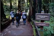  ?? ALAN DEP — MARIN INDEPENDEN­T JOURNAL ?? Signs alert visitors to the quiet zone in Cathedral Grove at
Muir Woods National Monument. Environmen­talists want further reductions in the number of air tours allowed over local federal parks.