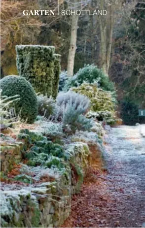  ??  ?? 1 1 IN ETAGEN Eiben und Stauden schmücken die terrassier­ten Beete auch bei Frost.