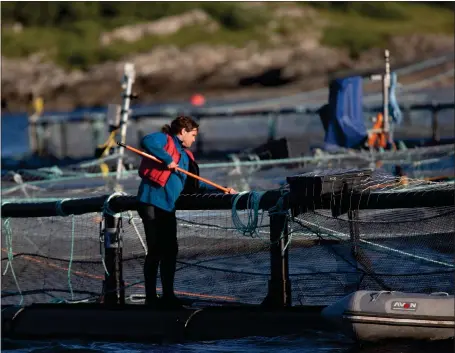  ?? Picture: Getty ?? An activist from Scottish Salmon Watch films salmon at a fish farm on the west coast to monitor compliance with welfare laws