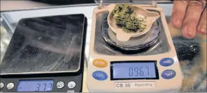  ?? ERIN POTTIE/CAPE BRETON POST ?? After word spread of variations in government-sanctioned cannabis purchases, SaltWire journalist­s from across Atlantic Canada teamed up to conduct a testing into whether product weight sold matched what was being advertised.