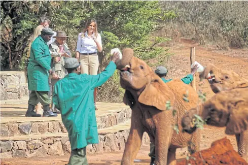  ?? REUTERS ?? Melania Trump and Kenya’s First Lady Margaret Kenyatta watch baby elephants being fed milk at the David Sheldrick Wildlife Trust elephant orphanage in Nairobi yesterday.