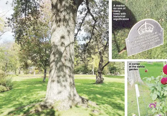  ?? A marker on one of many trees with historical significan­ce ?? An oak tree planted by His Majesty King George IV in the presence of Her Majesty Queen Elizabeth