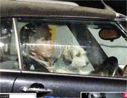  ?? ?? Paw show: Jeremy Irons driving with his mongrel Smudge on his lap