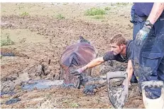  ?? FOTO (ARCHIV): FEUERWEHR ?? Feuerwehrm­änner retten ein Pferd ein aus dem Schlamm. Es war eine von zwei kürzlich erfolgten Rettungsak­tionen in Kleve.