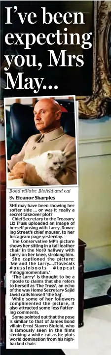  ??  ?? Bond villain: Blofeld and cat