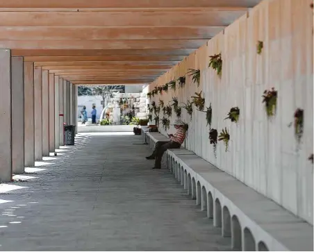  ?? Photos by Steve Gonzales / Staff photograph­er ?? Foliage is planted in slats in the wall at the Houston Botanic Garden, which opens to the public today and will celebrate with a series of alternatin­g “grand opening weekends” devoted to Houston’s diverse cultures.