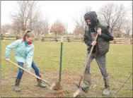  ?? LYNN KUTTER ENTERPRISE-LEADER ?? Isabella Dixon, 11, and Isaac Dixon, 14, of Farmington are digging a hole to plant a Black Limbertwig apple tree at Prairie Grove Battlefiel­d State Park. They participat­ed in a tree planting event at the park’s apple orchard on Dec. 12, 2020.