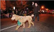  ?? SUBMITTED PHOTO — ANDY DINNIMAN ?? Andy Dinniman’s pet poodle Henry was larger than life.
