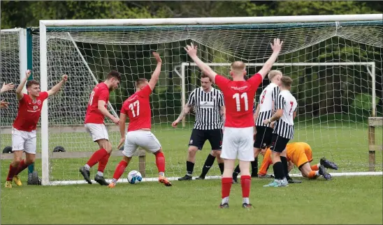  ?? Photo: Pete Birrell ?? Peebles players celebrate the equaliser against Newburgh.