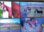  ?? PAUL POST — PPOST@DIGITALFIR­STMEDIA.COM ?? A four-panel screen gives simultaneo­us real-time views of activities taking place at different breeding farms.