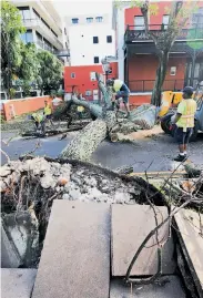  ?? David Skinner / Associated Press ?? Workers use a chainsaw to remove a fallen tree in downtown Hamilton, Bermuda, after Gonzalo hit.