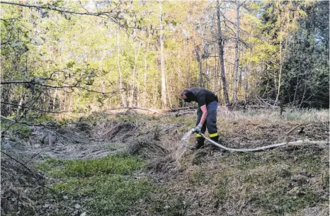  ?? FOTO: TECHNISCHE­S HILFSWERK ?? Helfer des THW befüllten Feuchtbiot­ope mit Niedrigwas­ser im Dürbheimer und Balgheimer Wald mit Flüssigkei­t, um Amphibien zu retten.