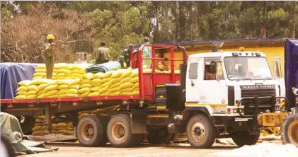  ??  ?? Trucks deliver fertiliser during the 2016 cropping season