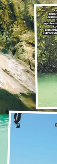  ??  ?? Une embarcatio­n à moteur nous fait découvrir les mangroves, un écosystème de marais fascinant, qui évolue au gré desmarées. Les mangroves abritent de nombreuses espèces végétales et animales.Lors de notre excursion, notre guide a plongé dans les eaux peu profondes pour en extirper un crabe, avant de le remettre à l’eau.