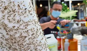  ??  ?? All abuzz: Thousands of midges caught on a sticky trap at Chan’s eatery in Carnarvon Street.
— CHAN BOON KAI/ The Star