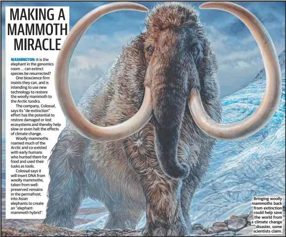  ??  ?? Bringing woolly mammoths back from extinction could help save the world from a climate change disaster, some scientists claim.