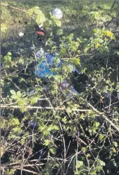  ??  ?? Some of the rubbish that was thrown over a ditch into marshlands at the Lough.