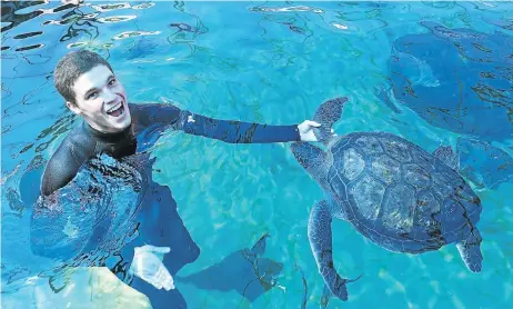  ?? Pictures: RUVAN BOSHOFF ?? MY FRIEND FLIPPER: Young Biologists graduate Simon Leigh with his favourite sea turtle at Cape Town’s Two Oceans Aquarium