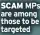  ?? ?? SCAM MPs are among those to be targeted