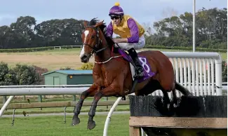  ?? PHOTO: TRISH DUNELL/STUFF ?? Monarch Chimes will have a change of rider in the Great Northern Hurdles on Saturday.