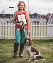  ??  ?? Above left: Adrian Slater hosting The Field’s gundog demonstrat­ion in the main ring. Top: Pepsi the cockerpoo, best gundog that isn’t a gundog breed Above: Vanessa Tate with spaniel Dixie