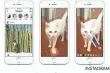  ?? INSTAGRAM ?? A screenshot of Instagram Stories.