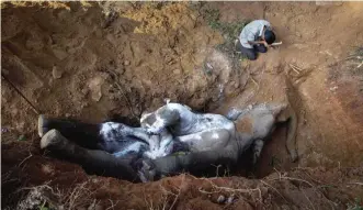  ??  ?? AMGAON: An Indian villager prays by the carcass of a wild Asiatic male elephant at Amgaon, near Gauhati, the capital of the northeaste­rn Indian state of Assam. According to forest officer RK Das, the elephant died after it was electrocut­ed by a high...