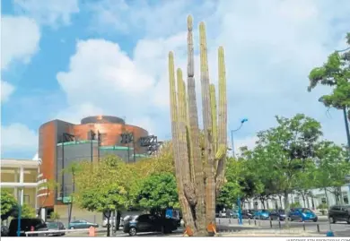  ?? JARDINES SIN FRONTERAS.COM ?? El cactus del pabellón de México.