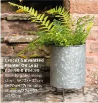  ??  ?? Crocus Galvanised Planter On Legs £26.99 & £34.99 Sturdy galvanised steel; W23xH32cm W20xH27cm, plus stand W32xH27 xD32cm