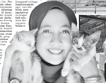 Taman Kucing Dungun Tarikan Baharu Peminat Haiwan Pressreader