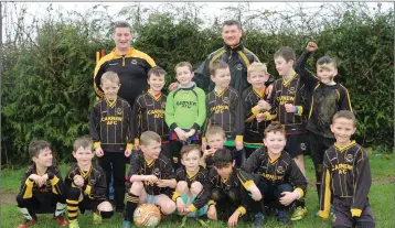  ??  ?? The Carnew AFC under-9s who took on Rathnew last Saturday morning in the Back Alley in what was a superb game of end to end soccer with plenty of talented players on both panels. Well done to all.