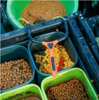  ??  ?? Sweetcorn and pellets in various sizes are the baits Tommy relies on for his winter sessions on commercial­s