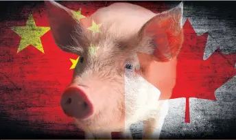  ??  ?? La Chine a bloqué l’entrée de viande canadienne de porc et de boeuf pendant quatre mois.