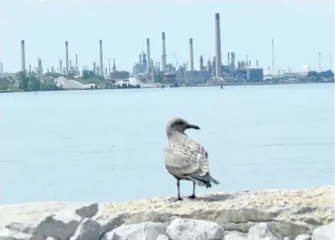  ?? PAUL MORDEN/POSTMEDIA NETWORK ?? Industries in Chemical Valley are shown in this view of Sarnia Bay in Sarnia, Ont. A resident of a southern Ontario First Nation is going to court over what they say is an eight-year delay in Ontario meeting a promise to review how it regulates...