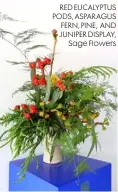  ??  ?? RED EUCALYPTUS PODS, ASPARAGUS FERN, PINE, AND JUNIPER DISPLAY, Sage Flowers