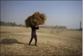  ?? CHANNI ANAND — THE ASSOCIATED PRESS ?? An Indian farmer carries wheat crop harvested from a field on the outskirts of Jammu, India, on Thursday.